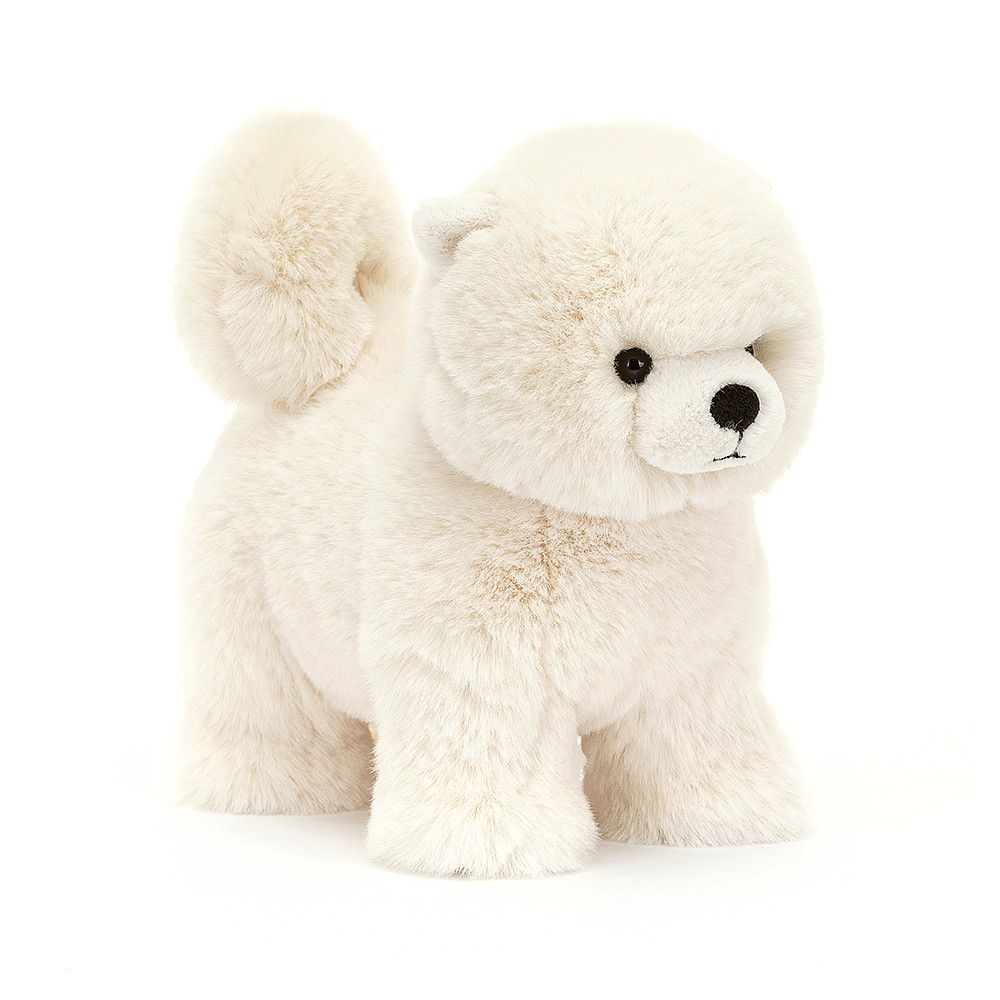 Hund Pomeranian Daphne